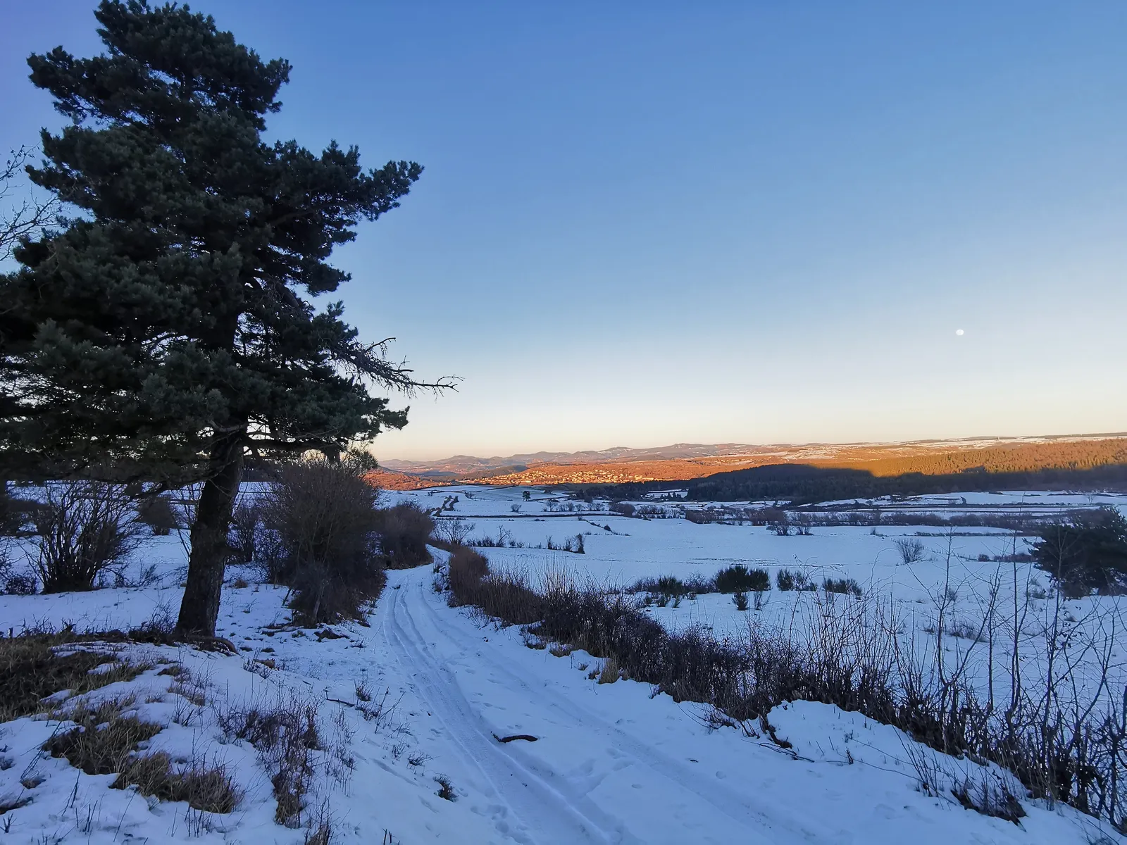 Paysage