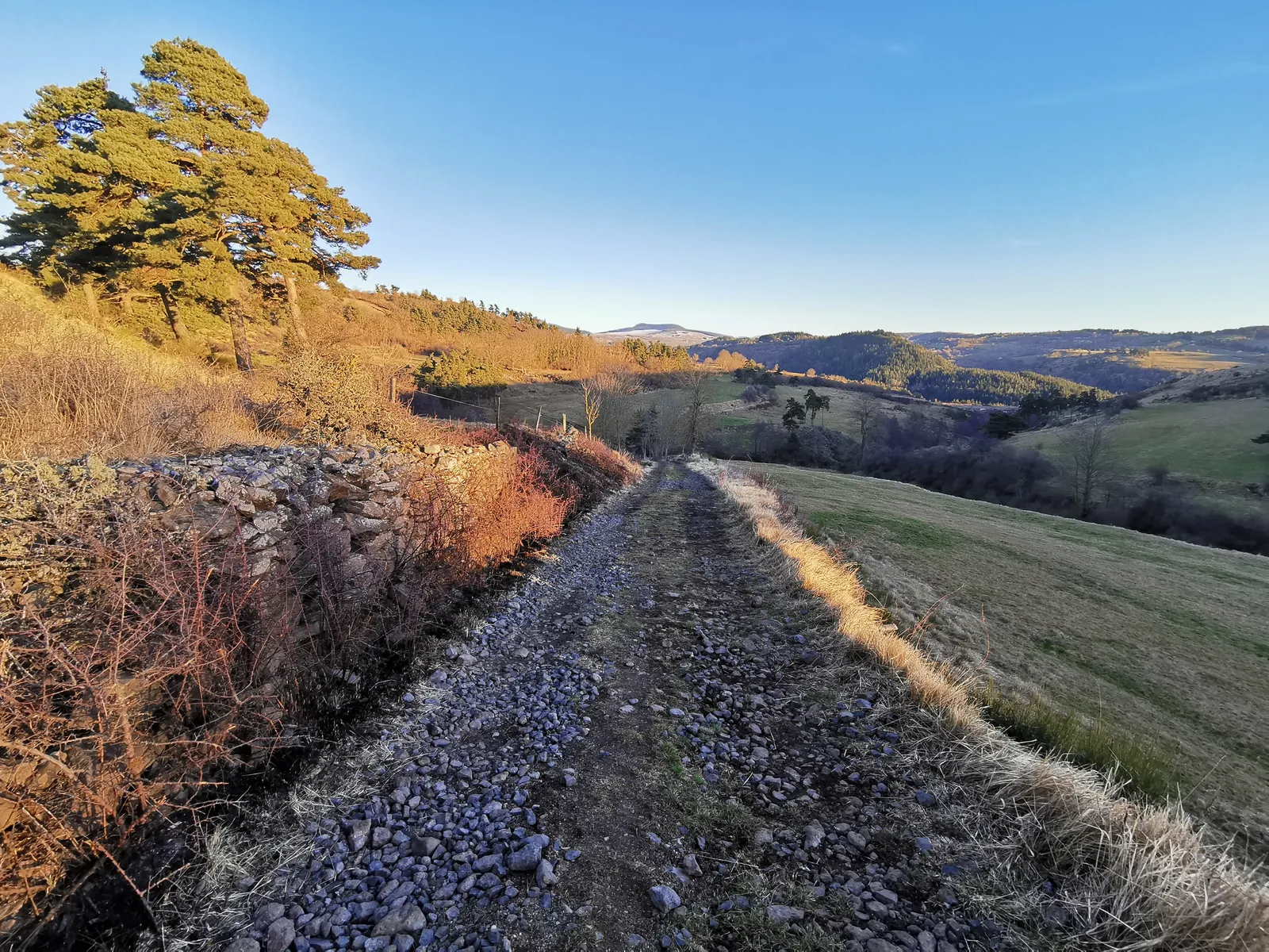 Paysage