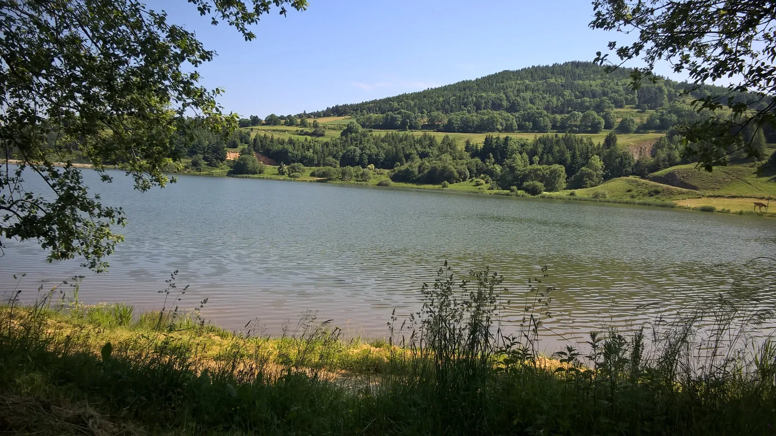 Paysage du Mézenc