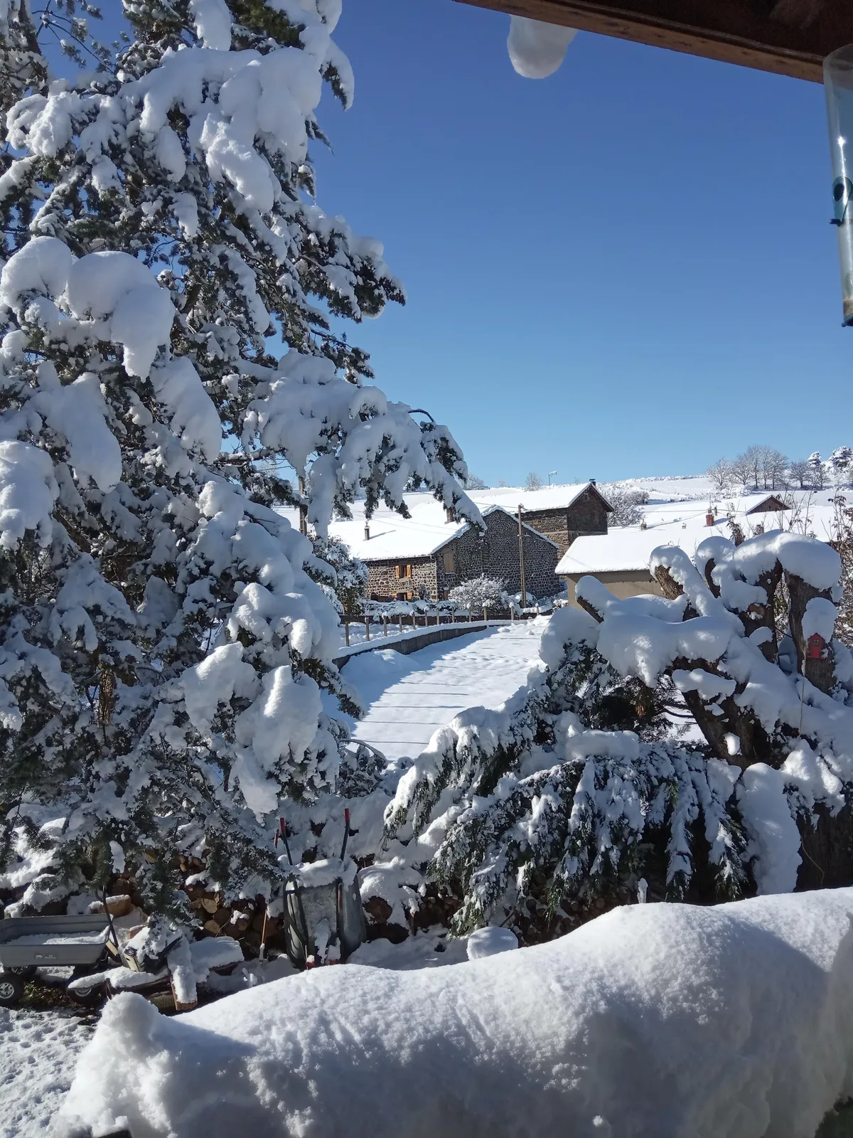 Paysage du Mézenc